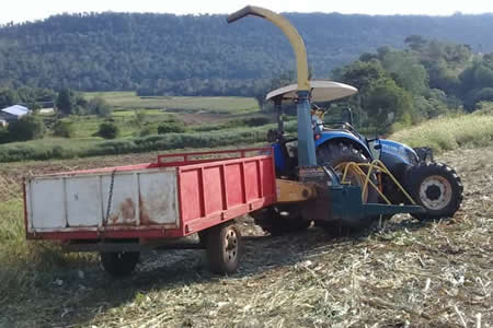 Sostenibilidad de sistemas alimentarios y las cooperativas