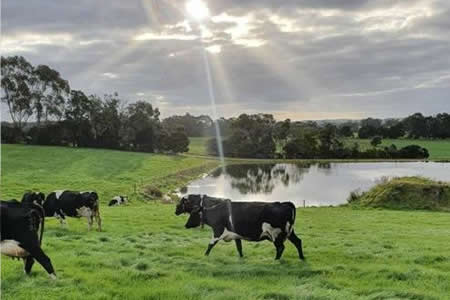 Portal derriba falsos mitos y creencias sobre la leche 