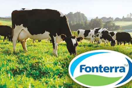 Séptima caída consecutiva Fonterra aleja el precio promedio de los US$ 4.000