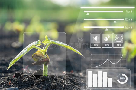 Programa “Inmersión Agricultura” invita a conocer soluciones tecnológicas sustentables