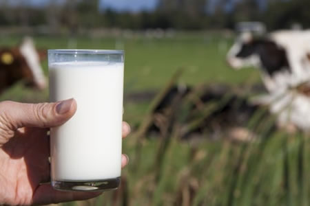 Leche y salud: Come carne, bebe leche