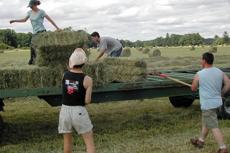 La renta agraria en la UE sube en los últimos diez años