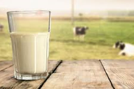 Índice de precios de los productos lácteos de la FAO - julio de 2021