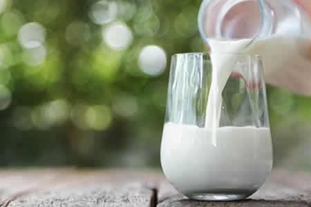 Emprendedores impulsan  elaboración de lácteos con valor agregado