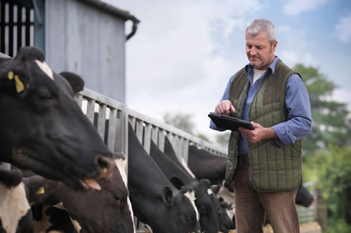 El aumento de los costos de los insumos representa una amenaza mundial para los productores de leche