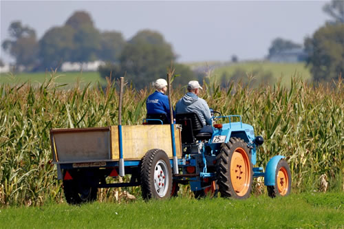 55% de los agricultores posterga inversiones por incertidumbre de cambios constitucionales