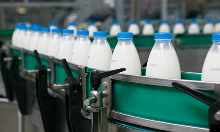 Elaboración de productos lácteos mantiene un comportamiento en general positivo al séptimo mes de 2021