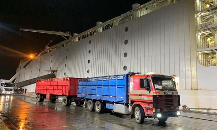 Certifican nuevo embarque de casi 5 mil vaquillas en pie a China 