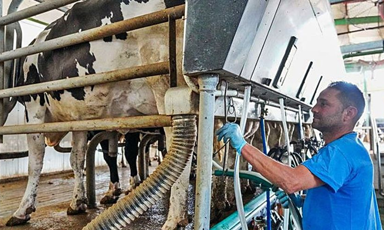 Los costos elevados de la leche también se resienten en Europa 