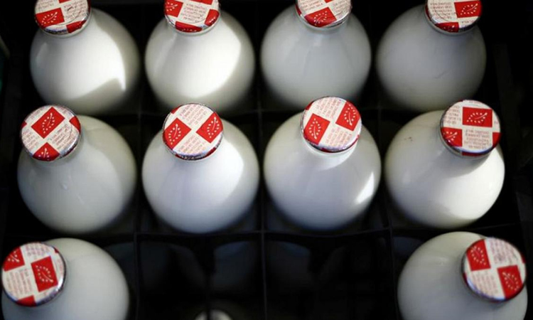 La leche británica se avinagra por de la escasez de trabajadores y camiones