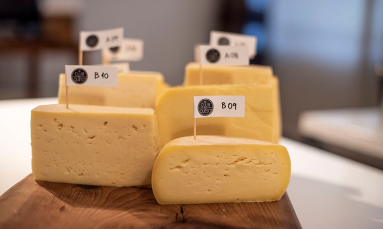 Cinco razones para incluir el queso en nuestra dieta