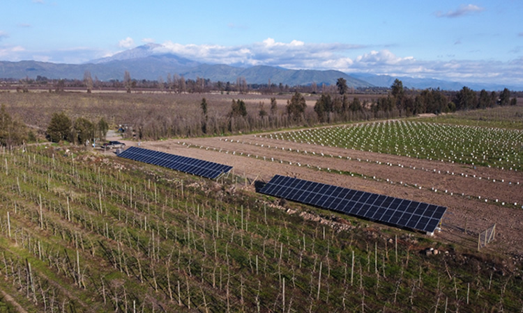 Innovación y sustentabilidad: ¿Se puede operar con energía solar en el Sur de Chile? 