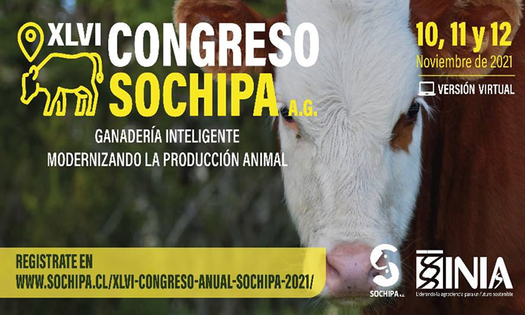 Congreso SOCHIPA 2021 abordará innovaciones en la producción ganadera