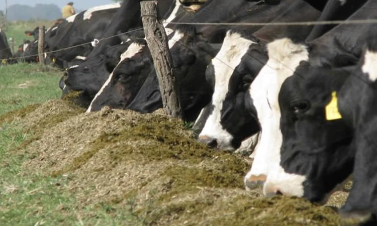 Abiertas inscripciones a Taller de Negocios en Producción de Leche