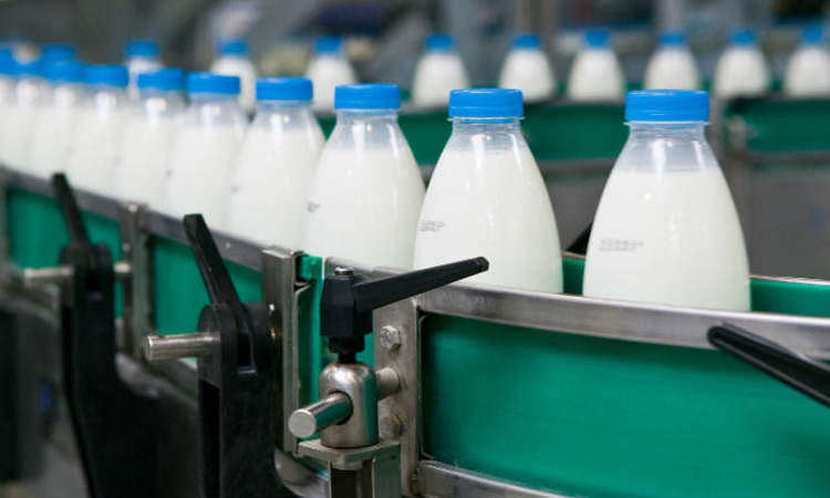 Elaboración láctea mantiene comportamiento mayormente positivo al octavo mes del año