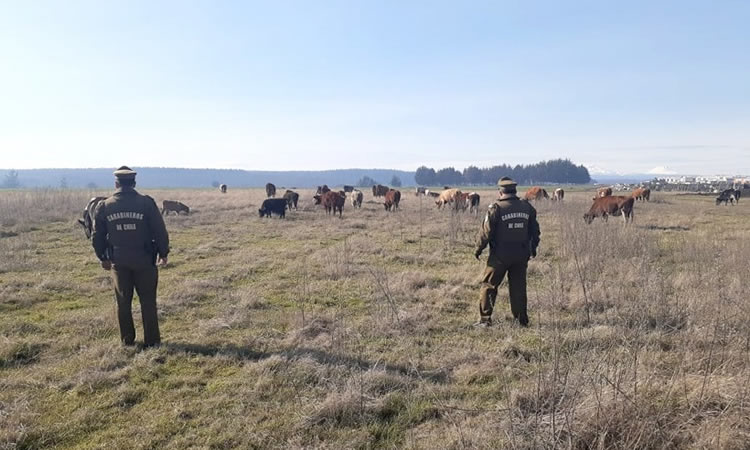 Mayor sinergia contra el delito en los campos