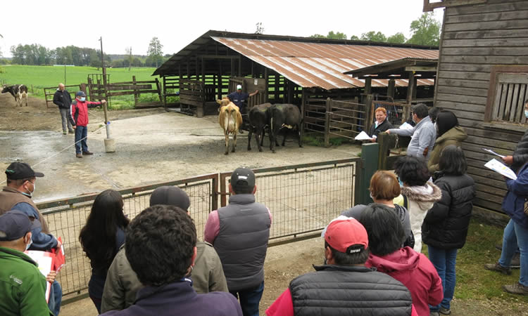 Día de Campo se enfocó en potenciar la producción de leche incorporando genética en los rebaños