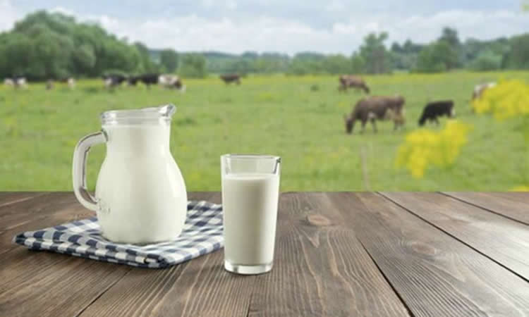 Informe del USDA destaca fortaleza del consumo de lácteos en Chile y ve presión a la producción interna a raíz de la sequía 