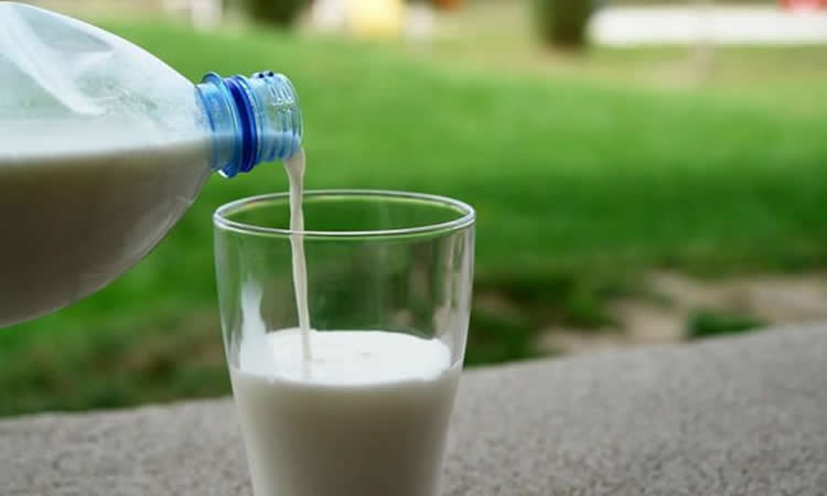 Cambia el chip: la leche entera es beneficiosa para la salud