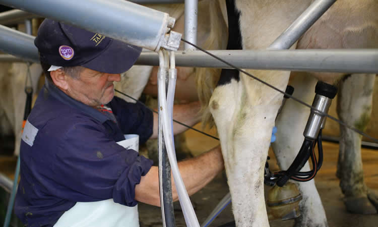 Mercado lácteo se transparenta tras acuerdo de lecheros y Watts