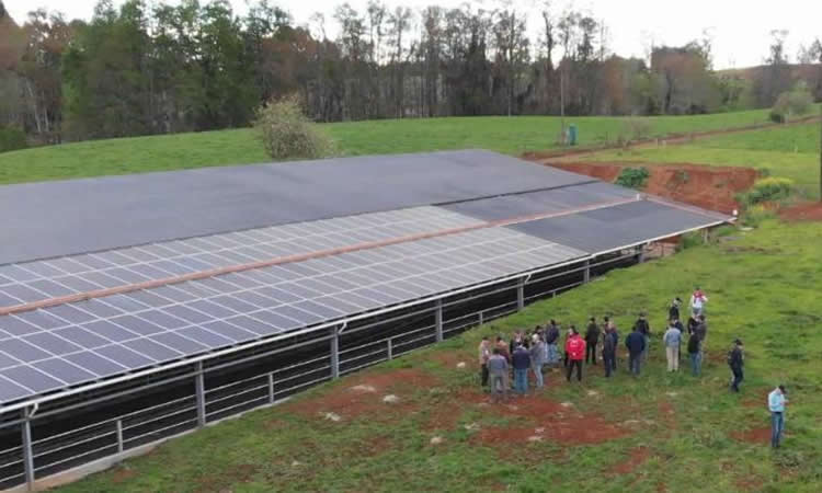 Planta fotovoltaica potencia el uso de energías renovables en la lechería 