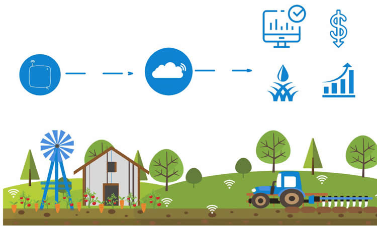 ¿Por qué los marketplaces están conquistando el mundo agropecuario?