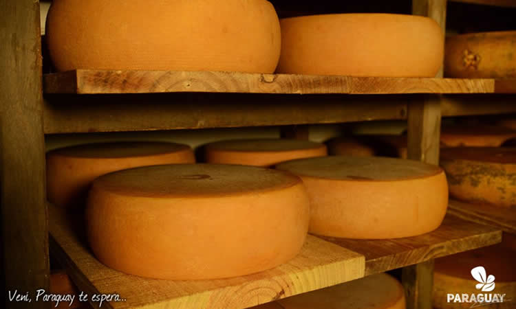 Industriales lácteos del Paraguay se declaran “quebrantados” por el contrabando de “queso Paraguay”