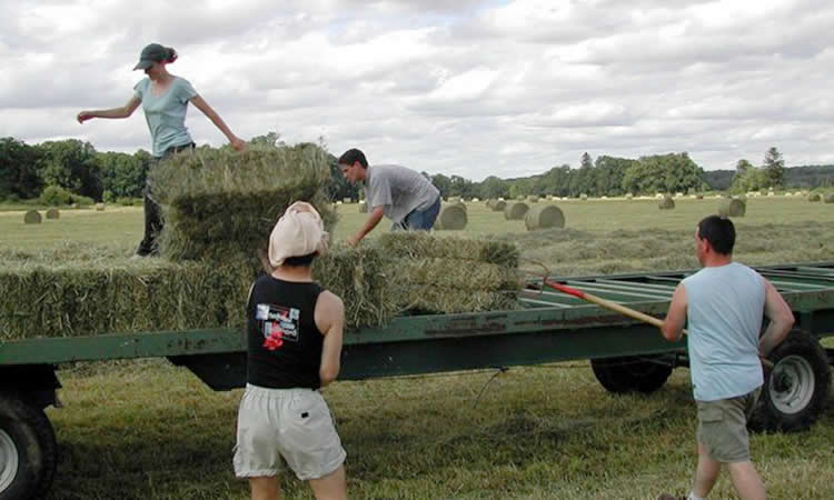 Opinión: Jóvenes para el agro del mañana 