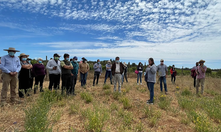 Ganaderos buscan adaptar sus sistemas productivos al cambio climático con ayuda de INIA