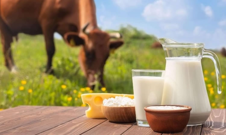 A pesar de la incertidumbre,  hay firmeza en el mercado europeo de productos lácteos 