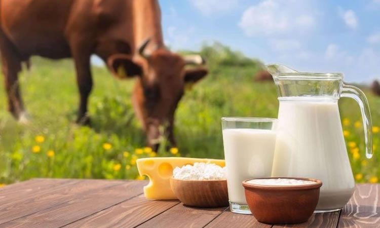 ¿Por qué bebemos más leche de vaca y no de cabra u otros mamíferos?