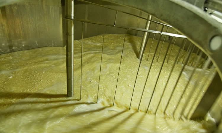 Elaboración láctea a noviembre de 2021 muestra un alza en la producción de queso  y una caída en leche condensada 