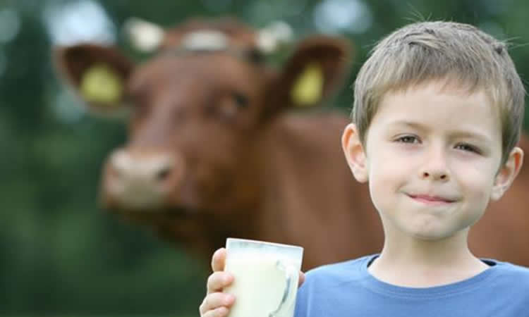 Desmintiendo los mitos sobre la leche de vaca