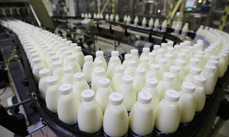 EE.UU: Futuros de leche repuntan más de 30%; presionan precios de productos lácteos