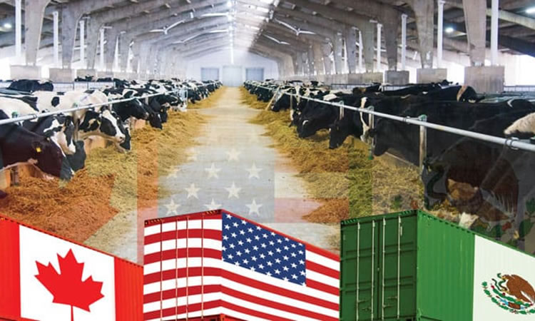 Estados Unidos vence a Canadá en disputa por cuotas lácteas