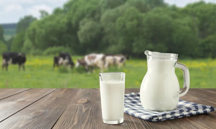 El IPC de los productos lácteos cierra diciembre 2021 con un comportamiento al alza