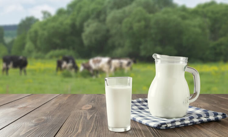 Quesos, leche y yogures, productos estratégicos que suman valor al campo