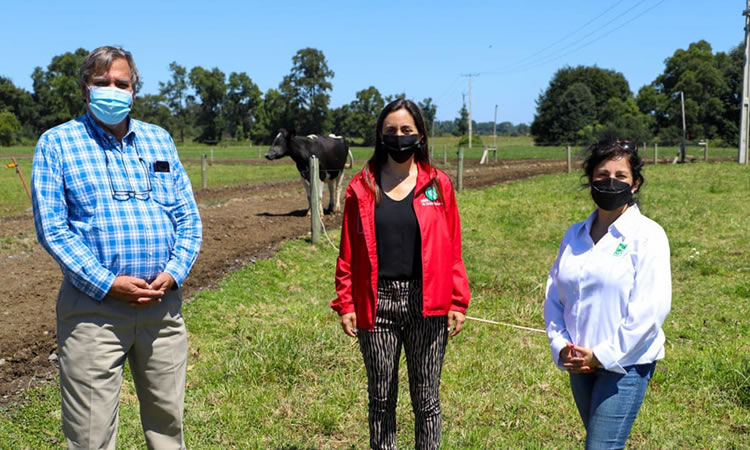 Ministra de Agricultura visita proyectos de investigación que buscan mejorar la sustentabilidad lechera