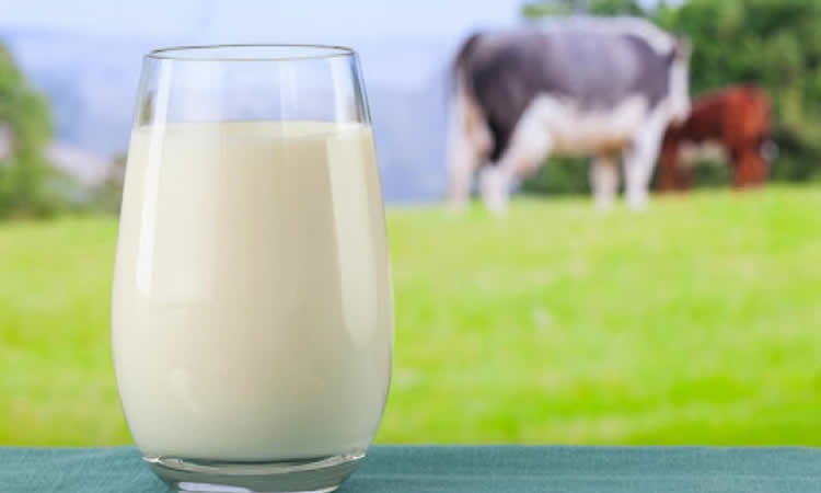 Exactamente ¿qué es la leche fortificada?
