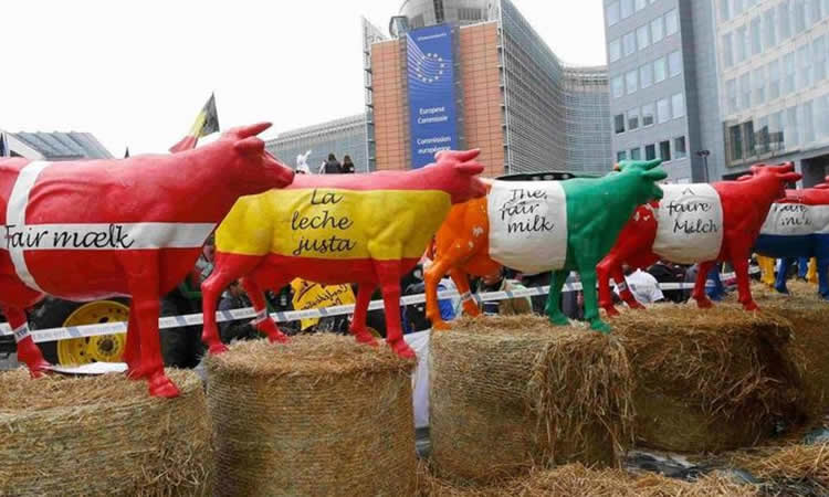 Ministros de Agricultura de la UE analizan la situación de la leche para debatir si se articulan medidas 