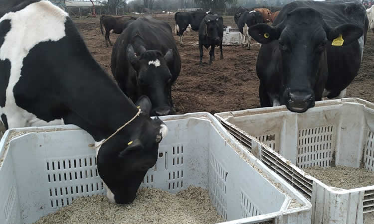 La sequía se perfila como el principal desafío del nuevo ministro de Agricultura