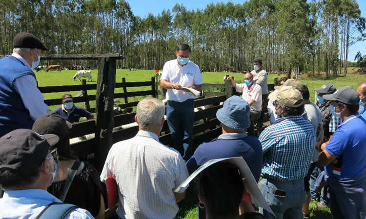 Culmina con éxito nueva etapa del Programa de Mejoramiento Genético Bovino en la región de Los Lagos