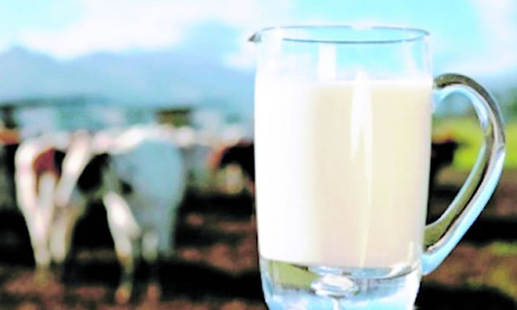 Nuevas subidas en los precios de los productos lácteos en la UE