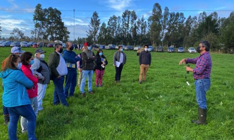 Productores compartieron tecnologías de riego en día de campo 