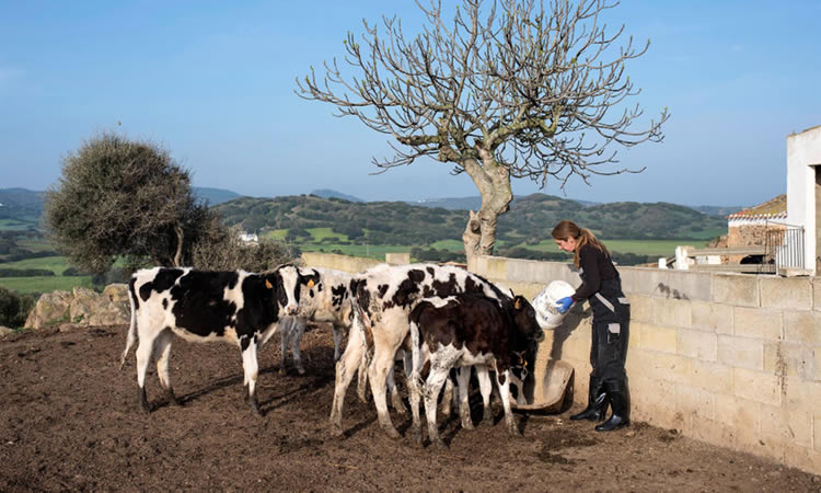 La UE aprueba las ayudas al sector lácteo de España por la guerra en Ucrania