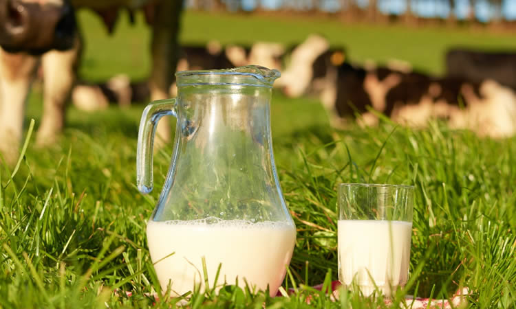 Estos son los lácteos beneficiosos para cuidar el corazón