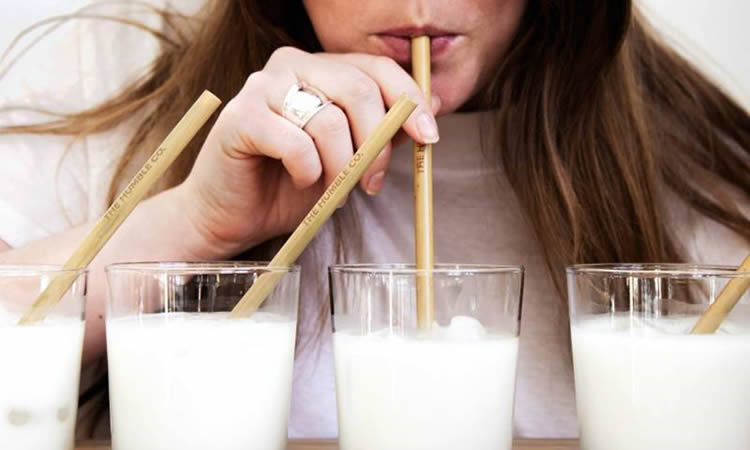 Los lácteos juegan un papel importante en una dieta saludable y sostenible