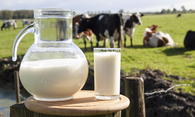 Leche: razones para incluirla en la dieta