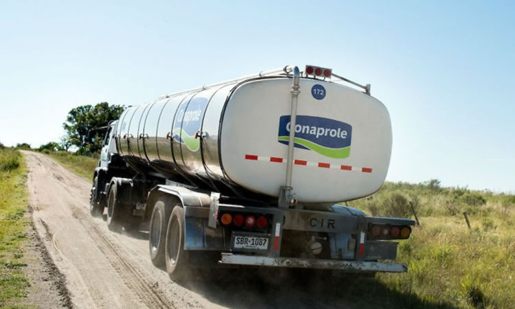 Lechería uruguaya se posiciona en el mundo