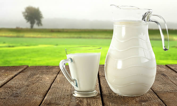 Hablemos de la leche y sus beneficios en el organismo
